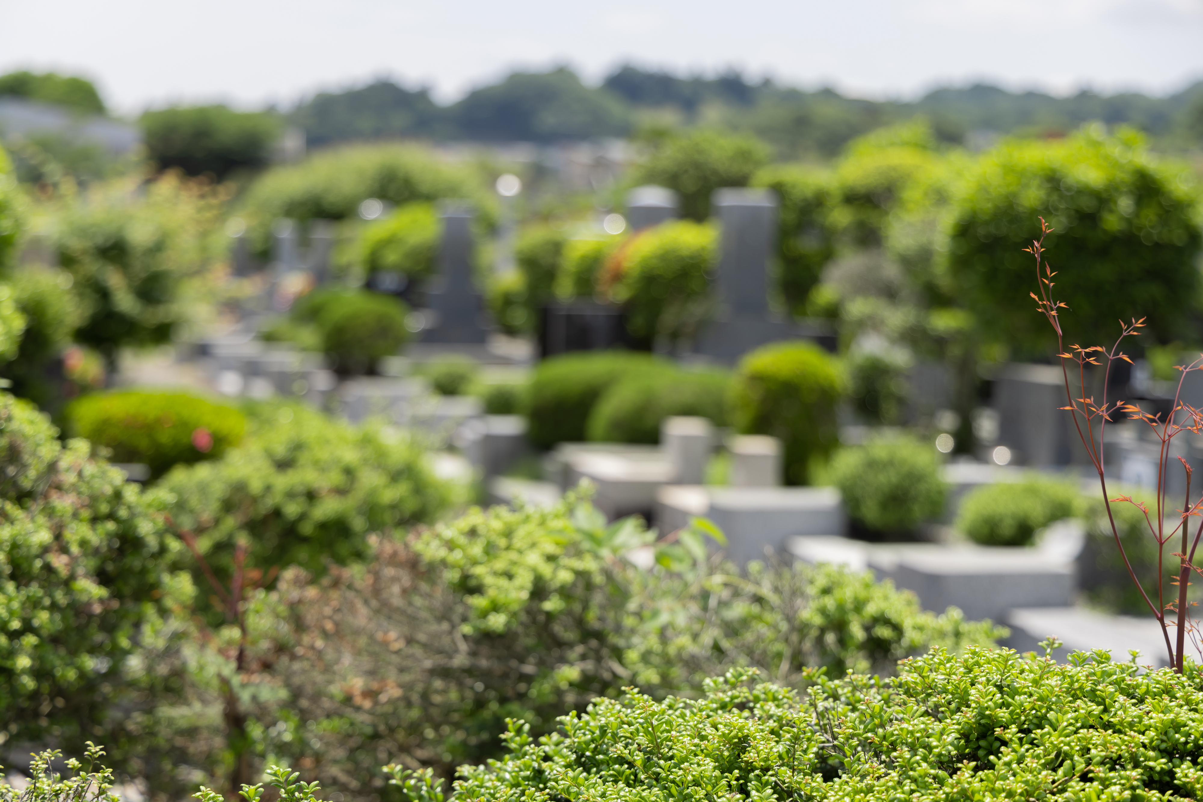 墓石に文字を彫刻する職人の手元